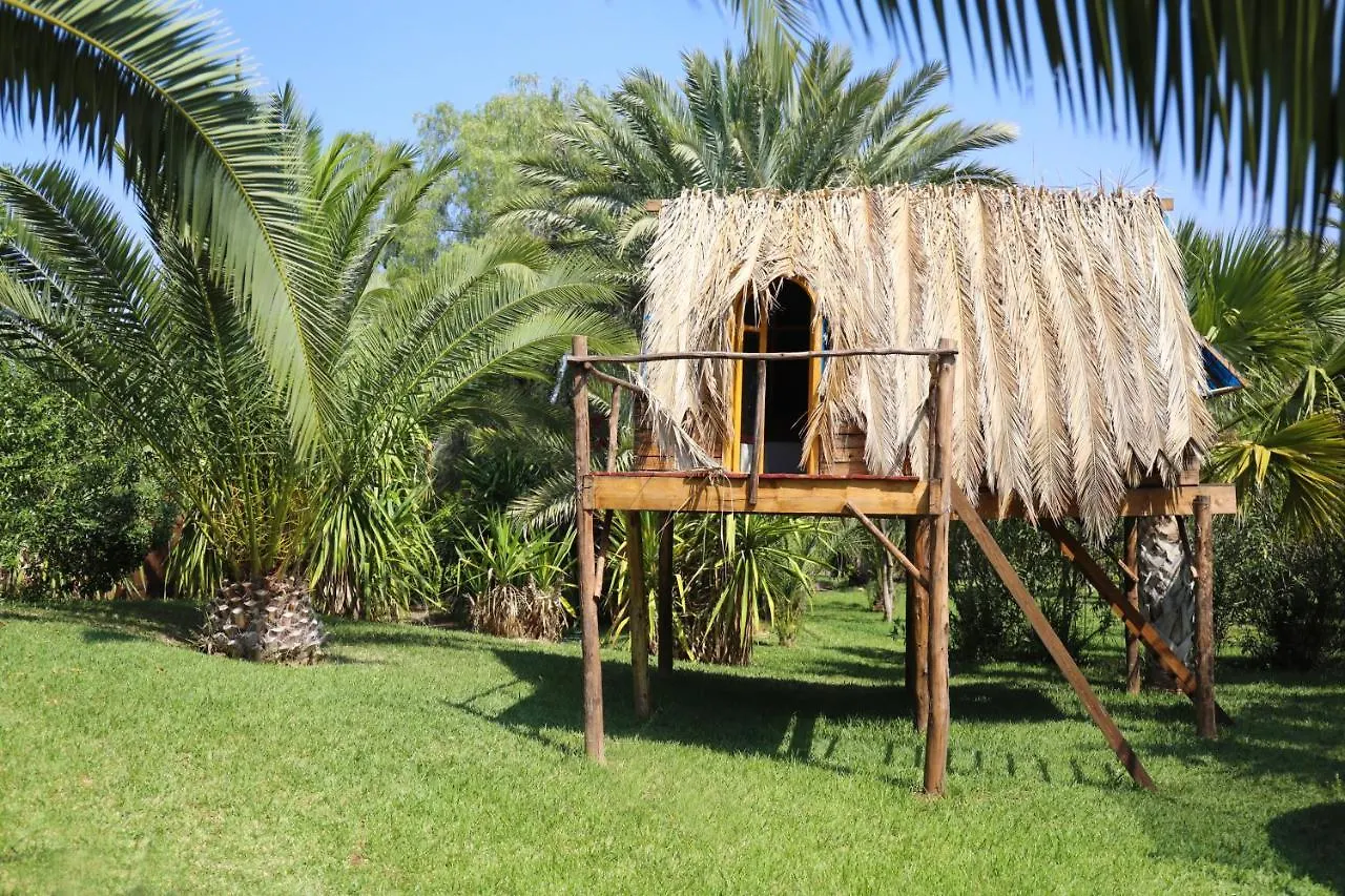 Villa Le Perroquet Bleu Marrakesh 3*,
